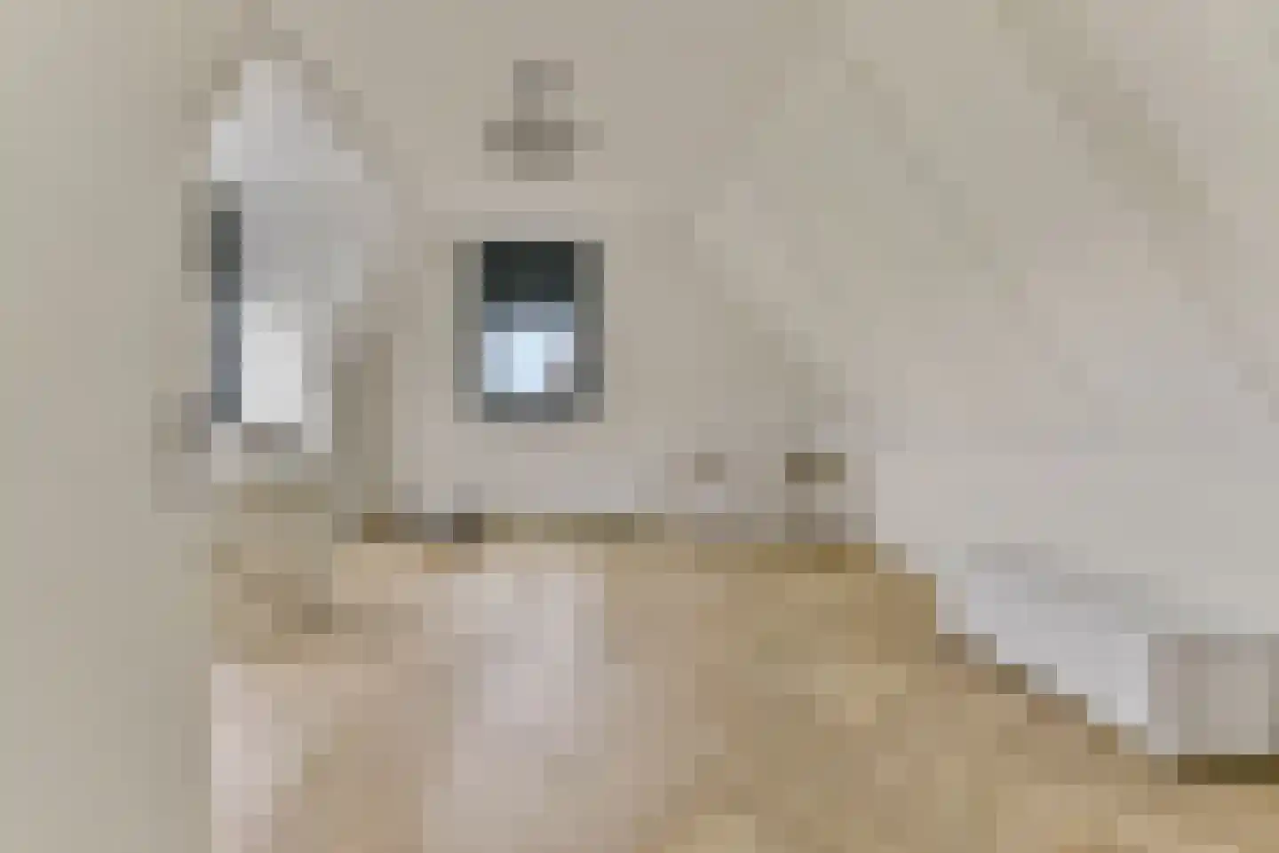 Baak van Scheveningen 55 Amersfoort thumbnail 38