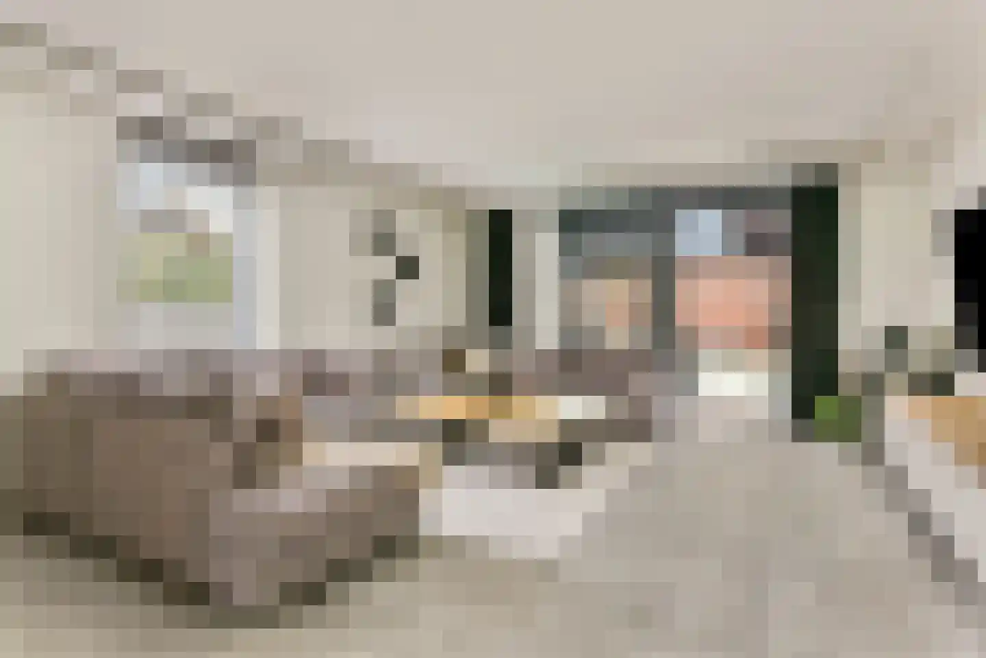 Baak van Scheveningen 55 Amersfoort thumbnail 5