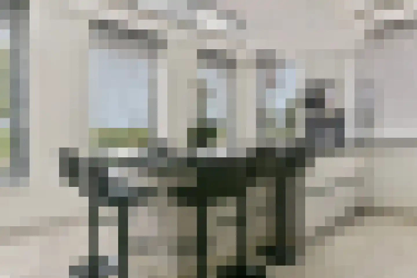 Baak van Scheveningen 55 Amersfoort thumbnail 8