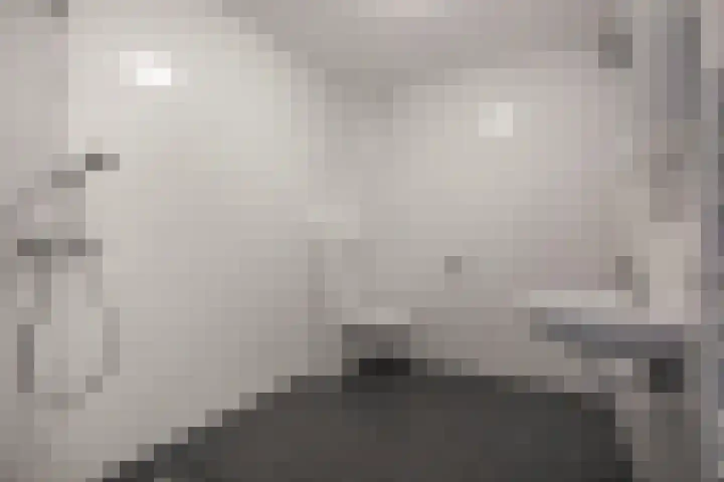 Baak van Sint Philipsland 9 Amersfoort thumbnail 29