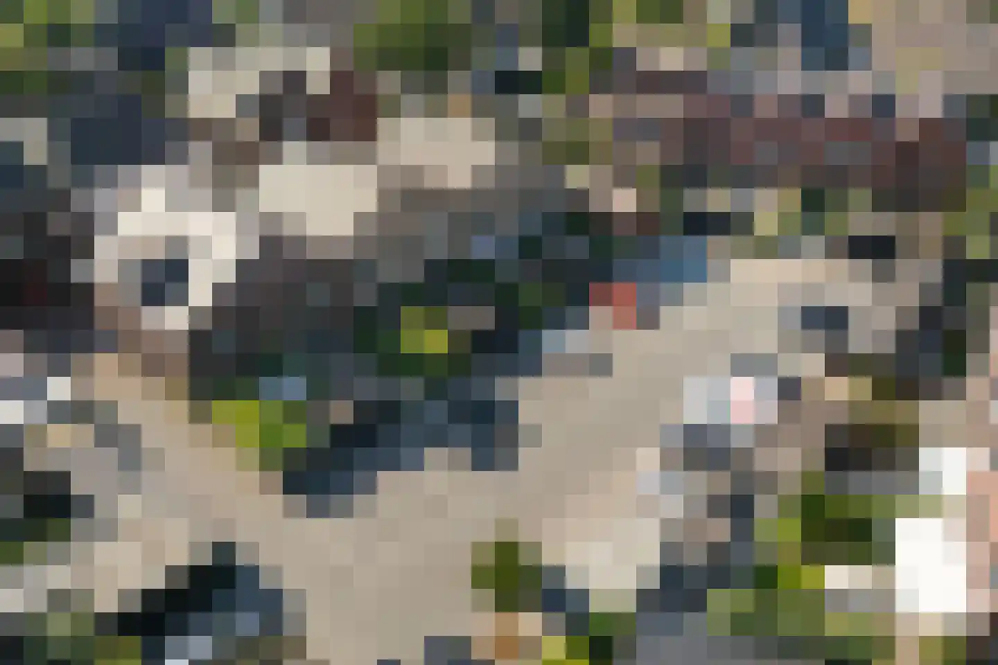 Baak van Sint Philipsland 9 Amersfoort thumbnail 36