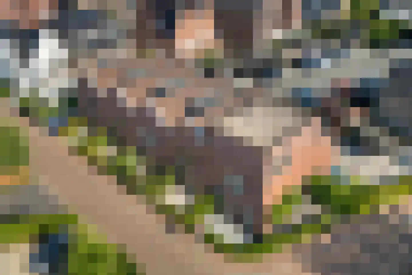 Baak van Sint Philipsland 9 Amersfoort thumbnail 38
