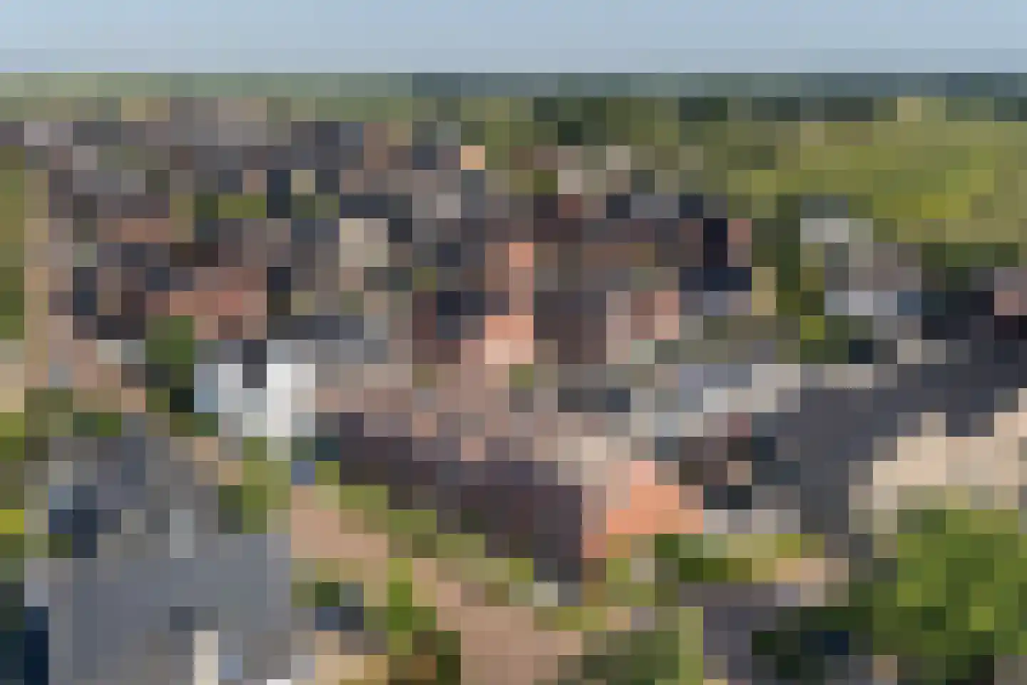 Baak van Sint Philipsland 9 Amersfoort thumbnail 39