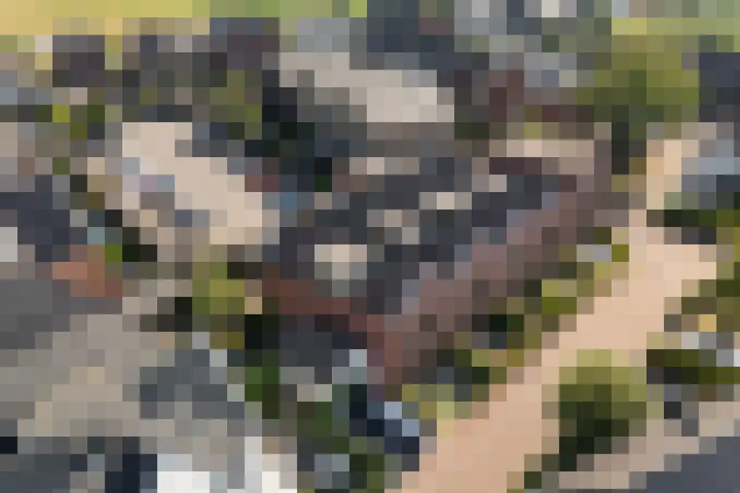 Baak van Sint Philipsland 9 Amersfoort thumbnail 40