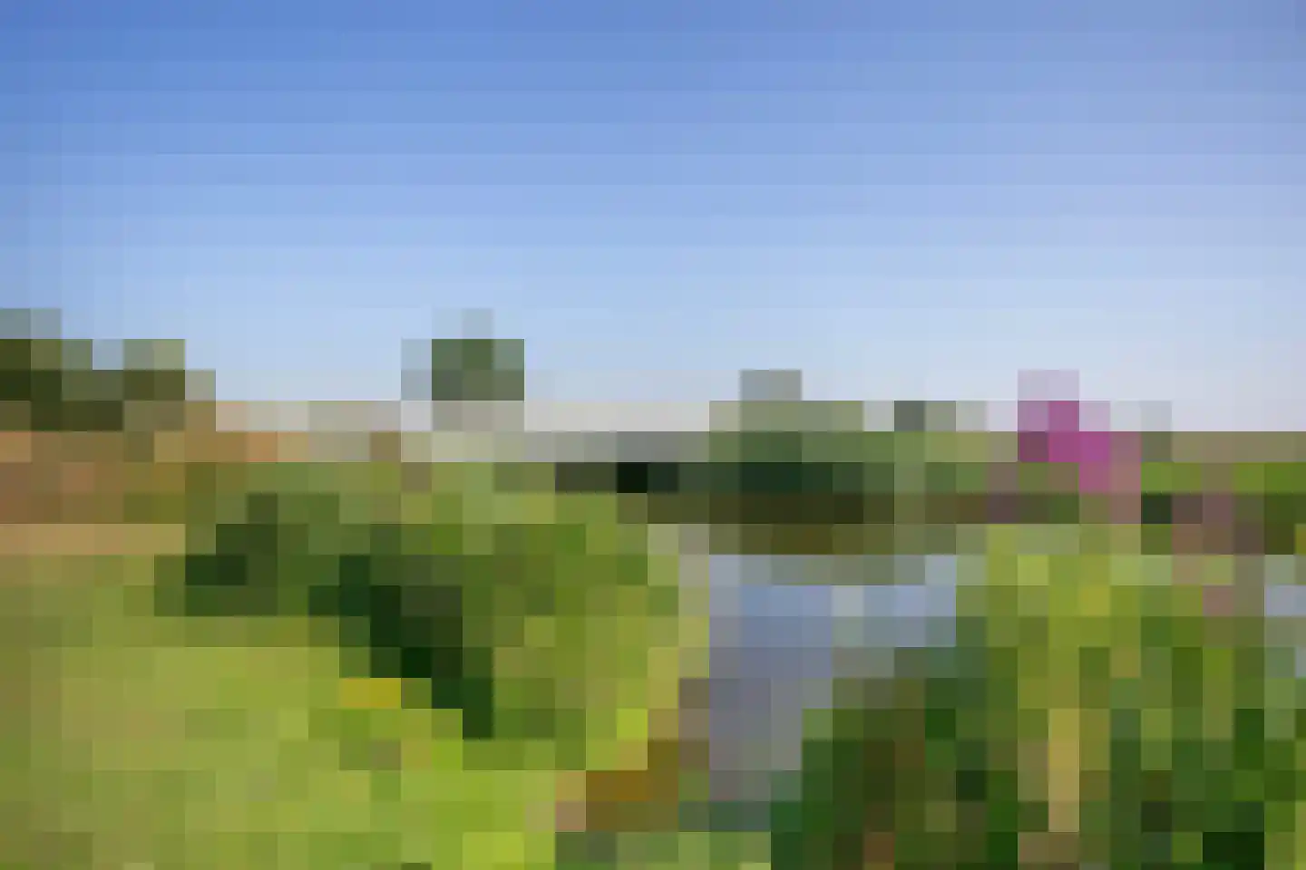 Baak van Sint Philipsland 9 Amersfoort thumbnail 42