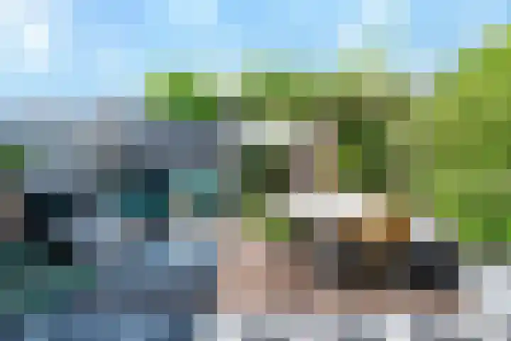 Baak van Terneuzen 39 Amersfoort thumbnail 10
