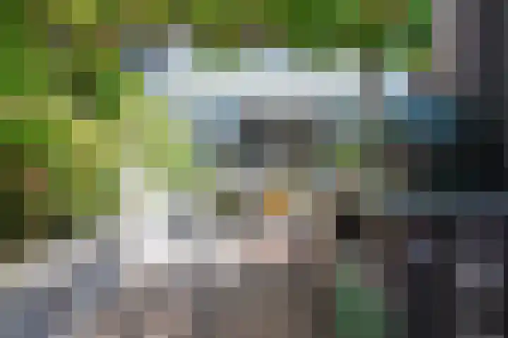 Baak van Terneuzen 39 Amersfoort thumbnail 12