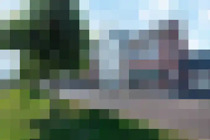Baak van Terneuzen 39 Amersfoort thumbnail 13