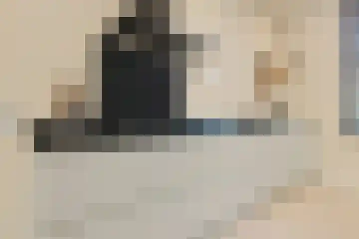 Baak van Terneuzen 39 Amersfoort thumbnail 19