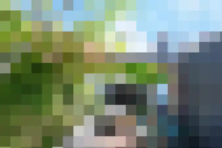Baak van Terneuzen 39 Amersfoort thumbnail 43