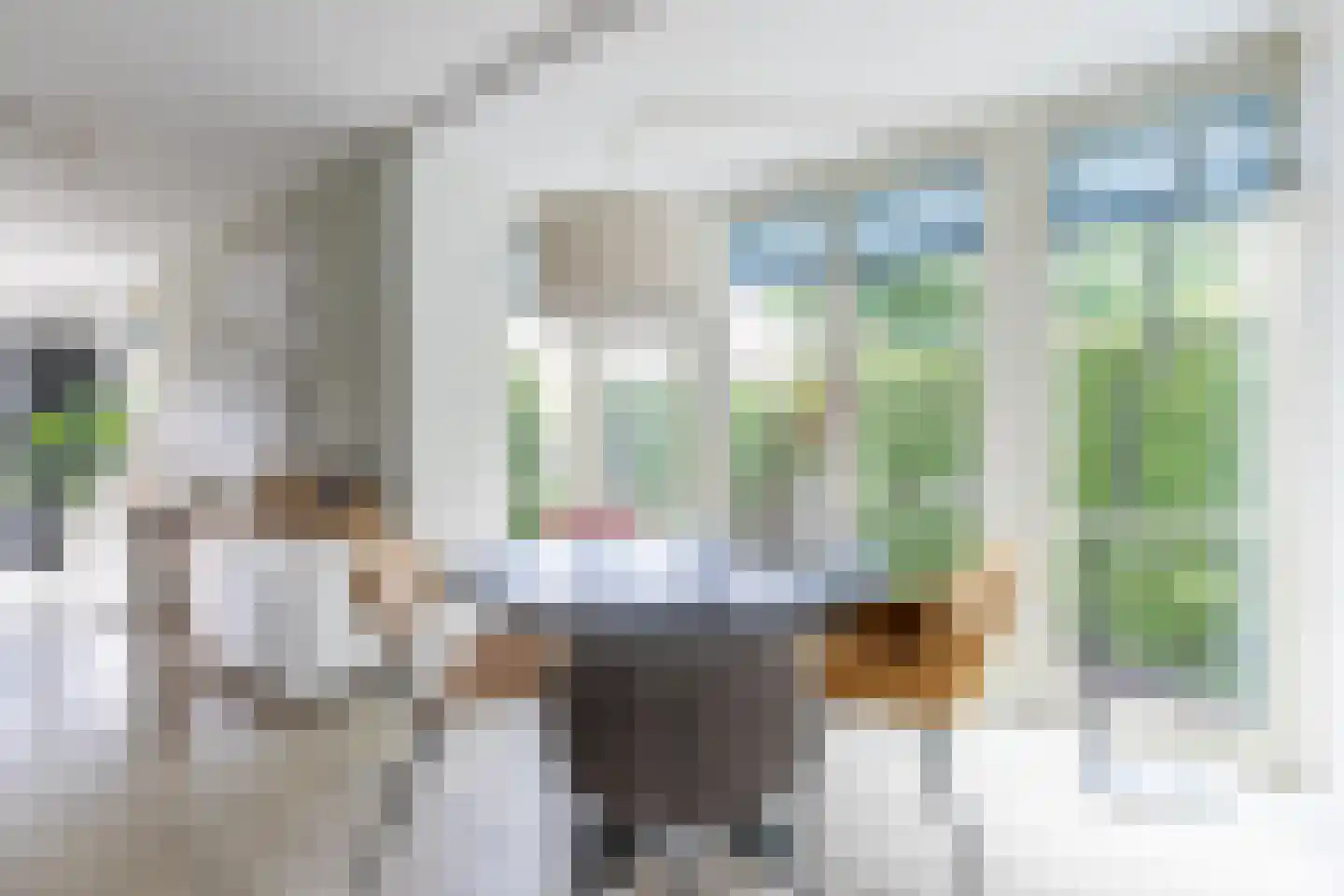 Baak van Tholen 1 Amersfoort thumbnail 10