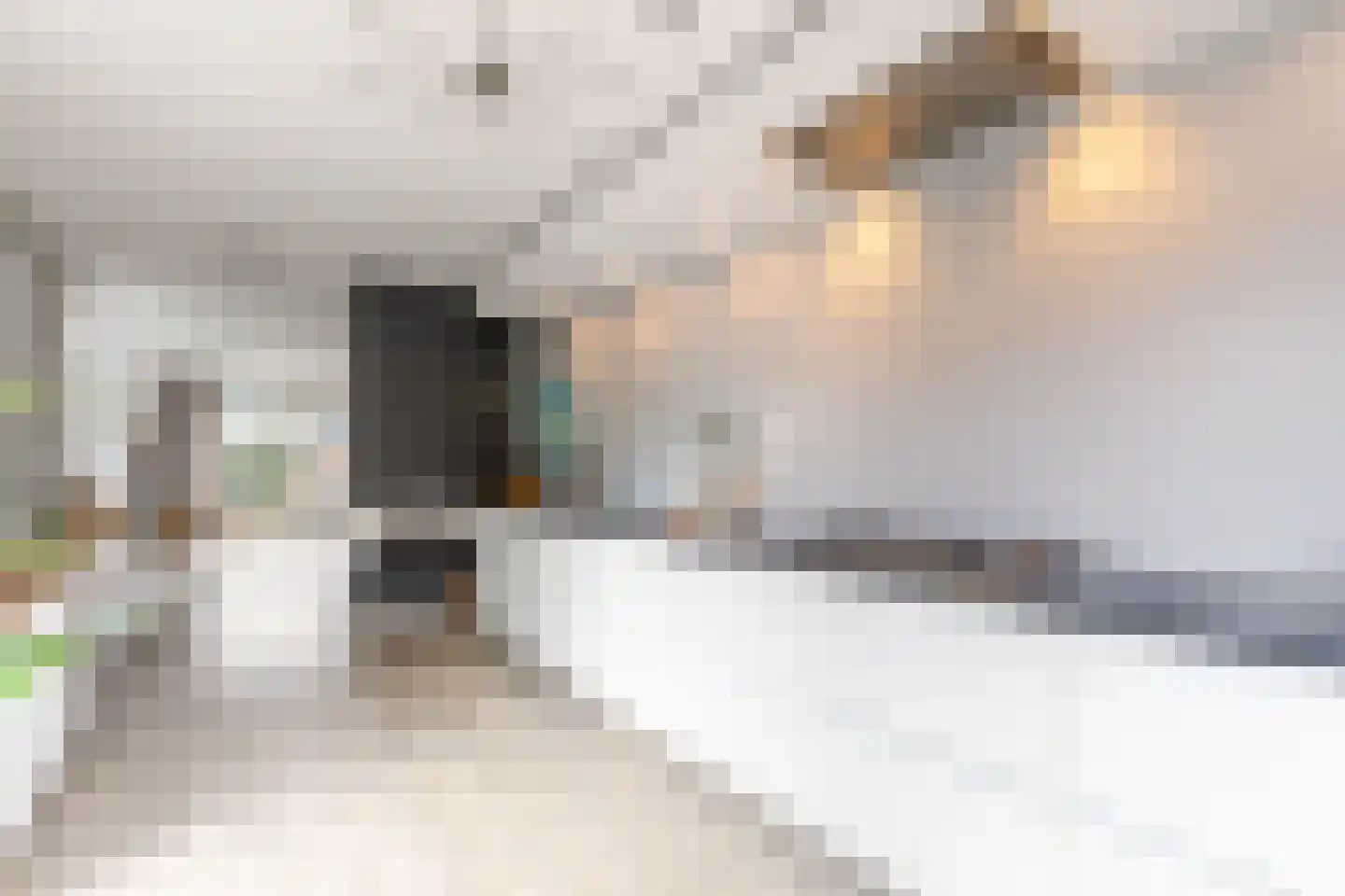 Baak van Tholen 1 Amersfoort thumbnail 15