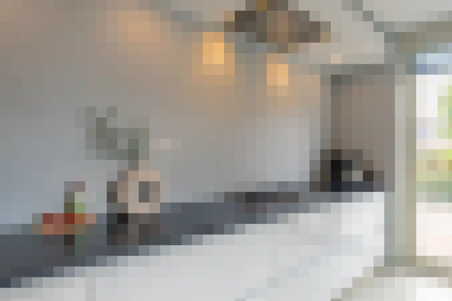 Baak van Tholen 1 Amersfoort thumbnail 17