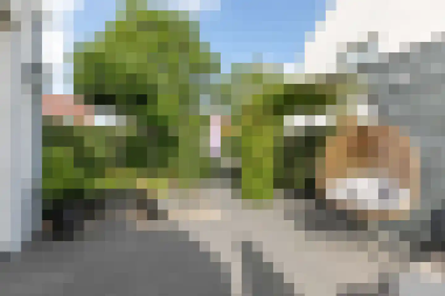 Baak van Tholen 1 Amersfoort thumbnail 19