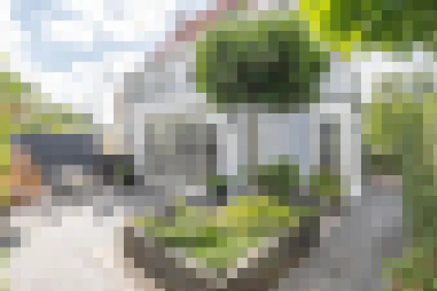 Baak van Tholen 1 Amersfoort thumbnail 21
