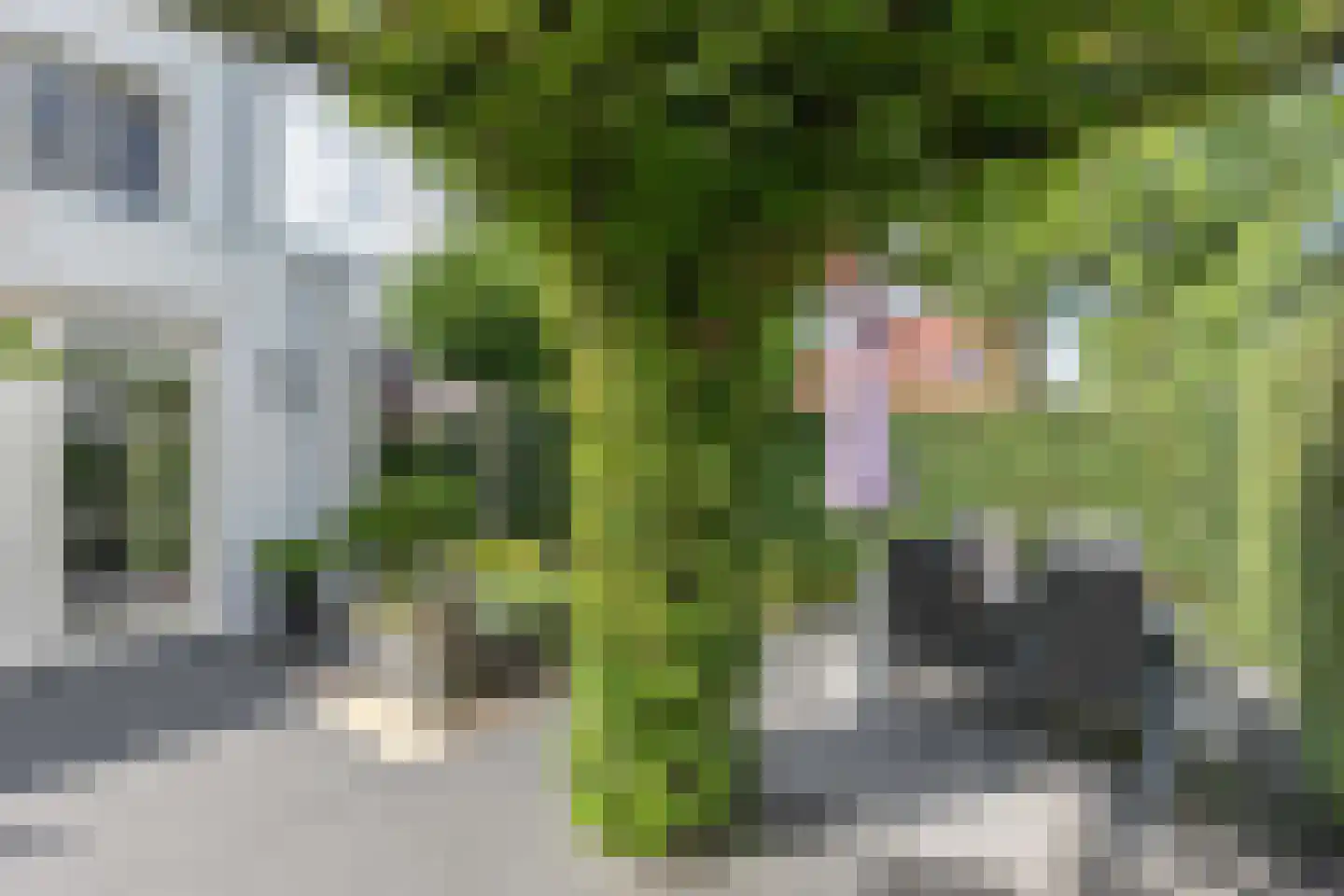 Baak van Tholen 1 Amersfoort thumbnail 22