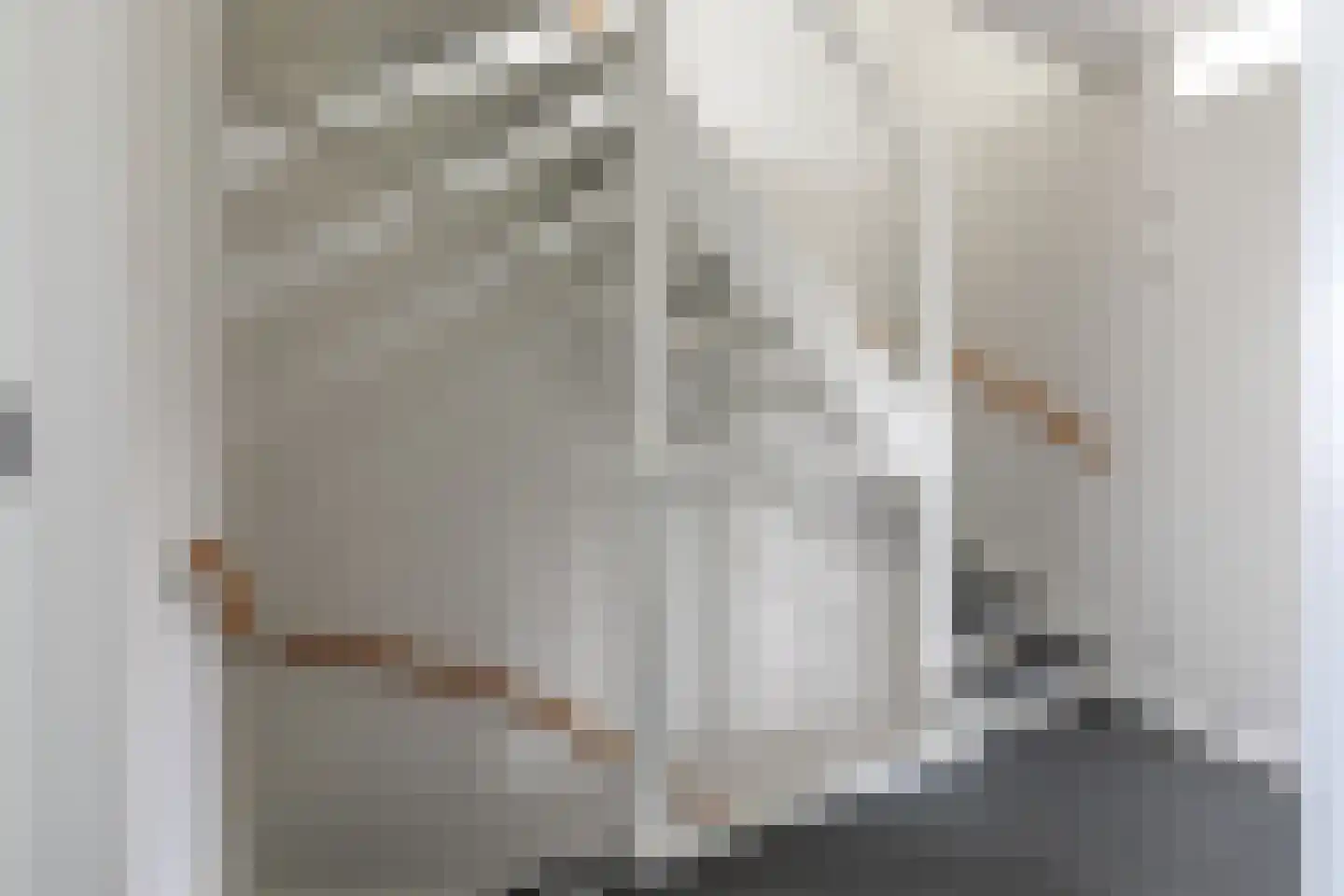 Baak van Tholen 1 Amersfoort thumbnail 23