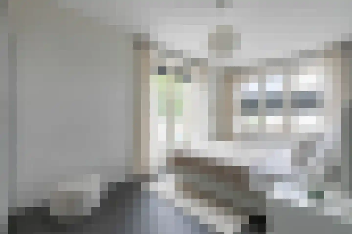 Baak van Tholen 1 Amersfoort thumbnail 24