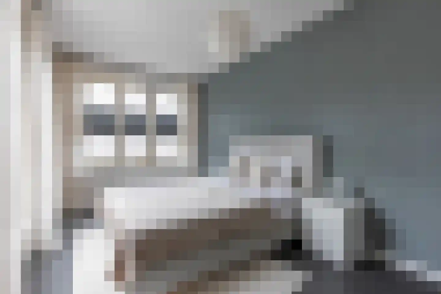 Baak van Tholen 1 Amersfoort thumbnail 25