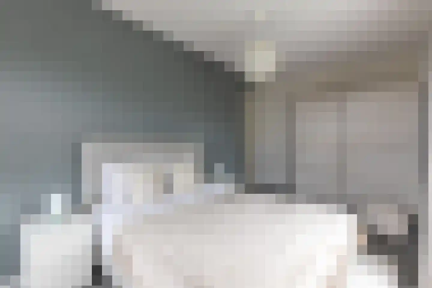 Baak van Tholen 1 Amersfoort thumbnail 26