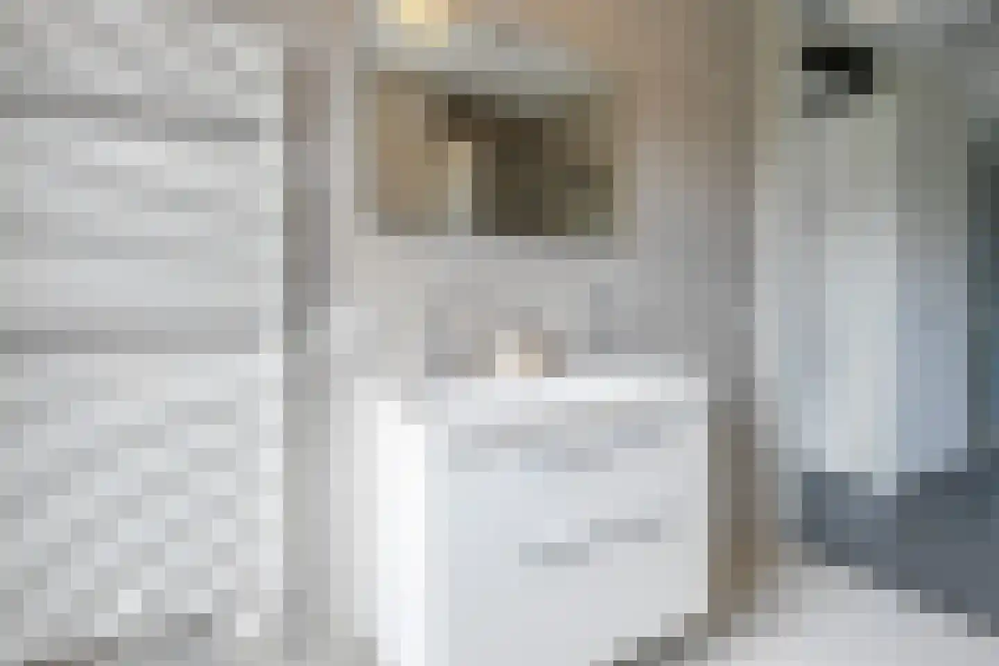 Baak van Tholen 1 Amersfoort thumbnail 27