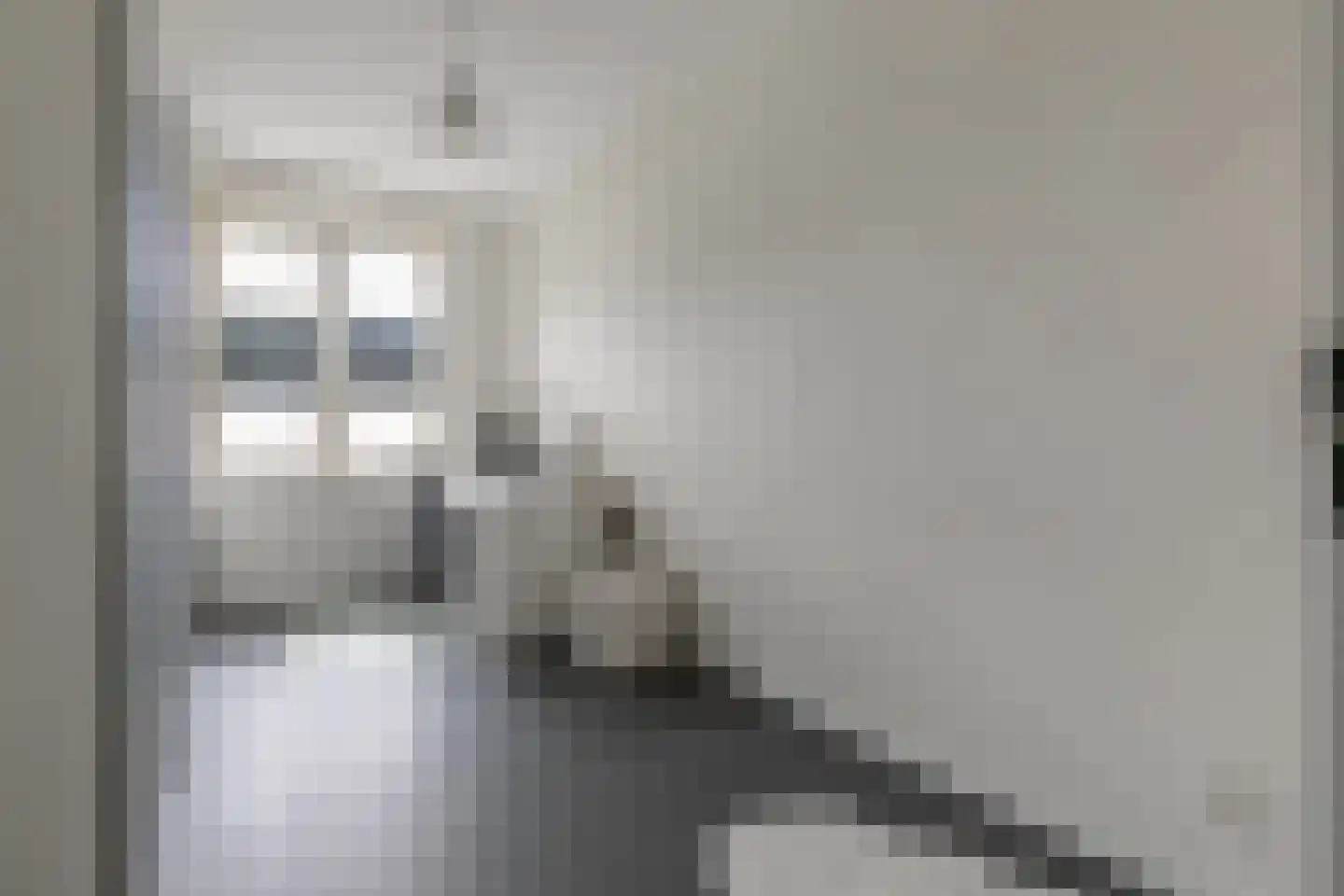 Baak van Tholen 1 Amersfoort thumbnail 31