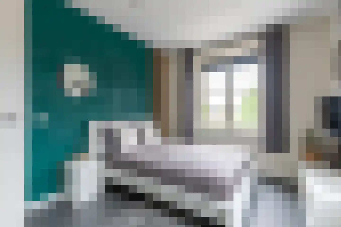 Baak van Tholen 1 Amersfoort thumbnail 34