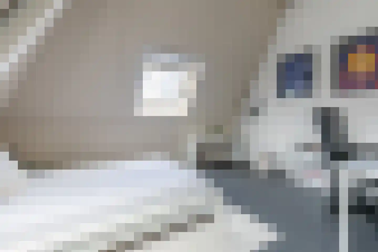 Baak van Tholen 1 Amersfoort thumbnail 39