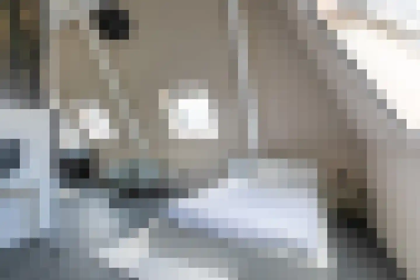 Baak van Tholen 1 Amersfoort thumbnail 40