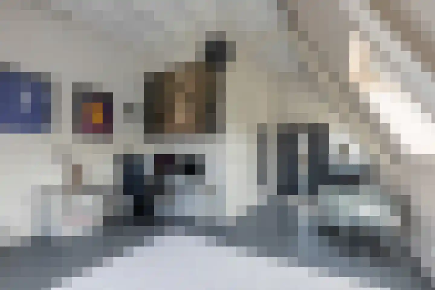 Baak van Tholen 1 Amersfoort thumbnail 41
