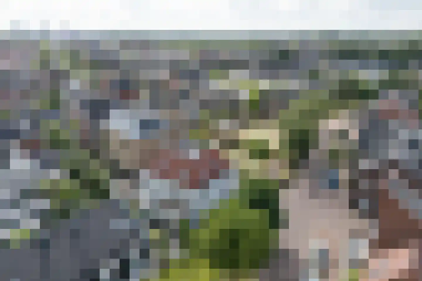 Baak van Tholen 1 Amersfoort thumbnail 44