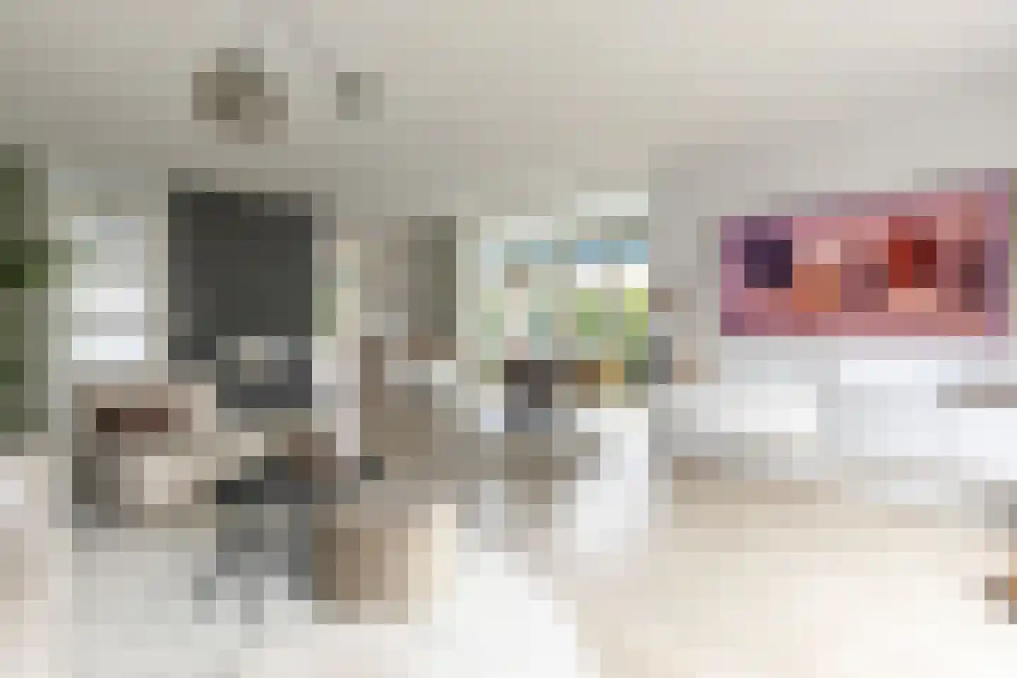 Baak van Tholen 1 Amersfoort thumbnail 9