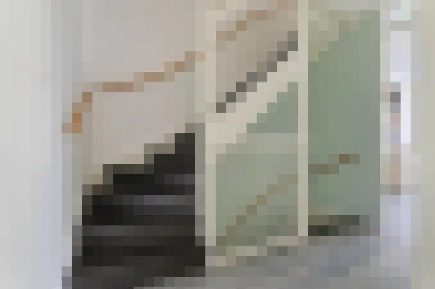 Baak van Tholen 3 Amersfoort thumbnail 19