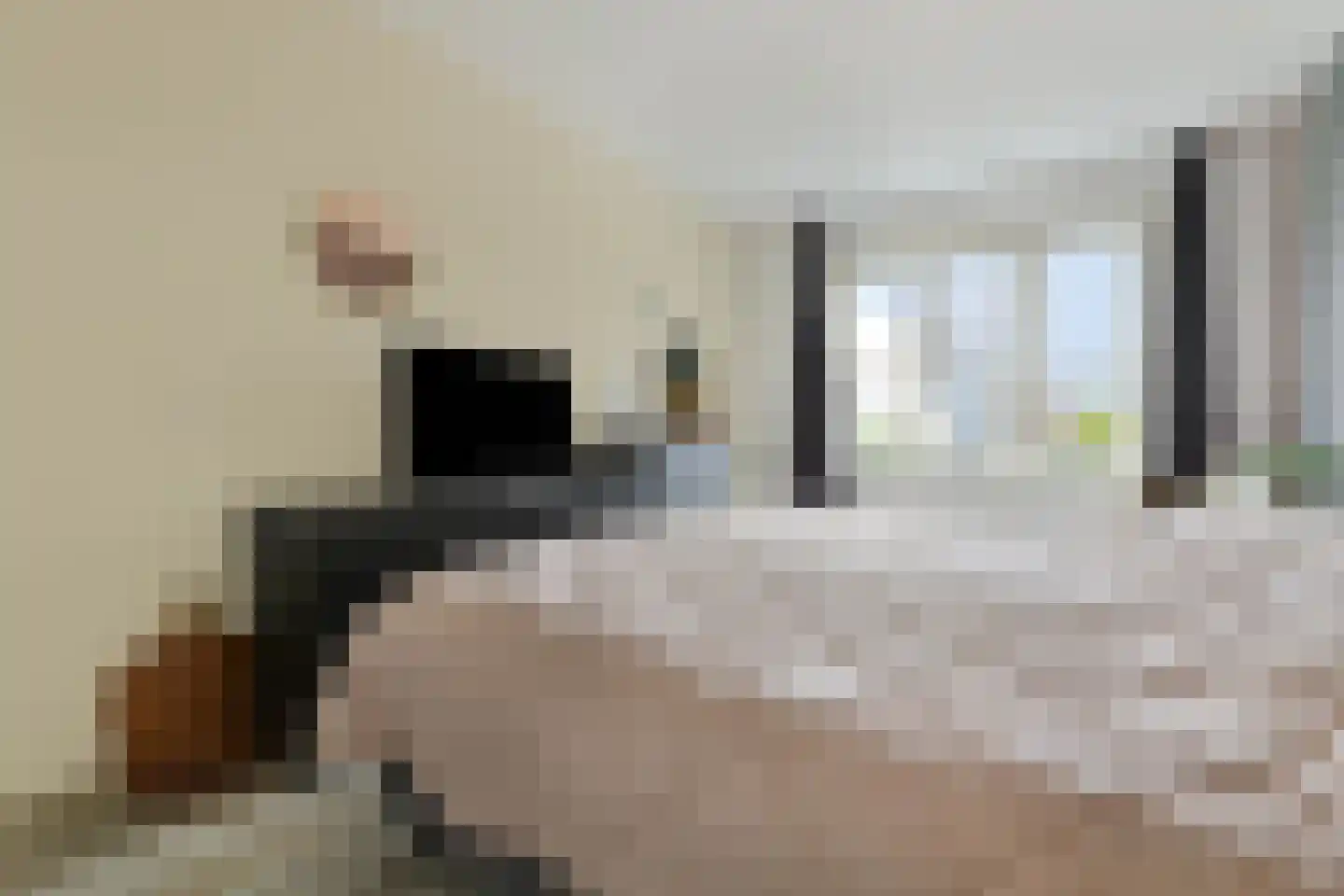 Baak van Tholen 3 Amersfoort thumbnail 21