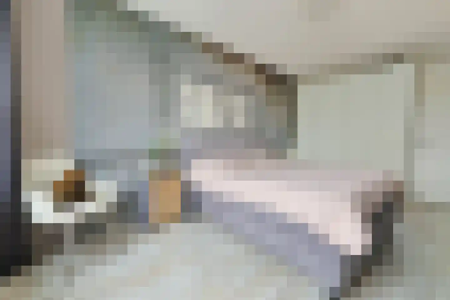 Baak van Tholen 3 Amersfoort thumbnail 22