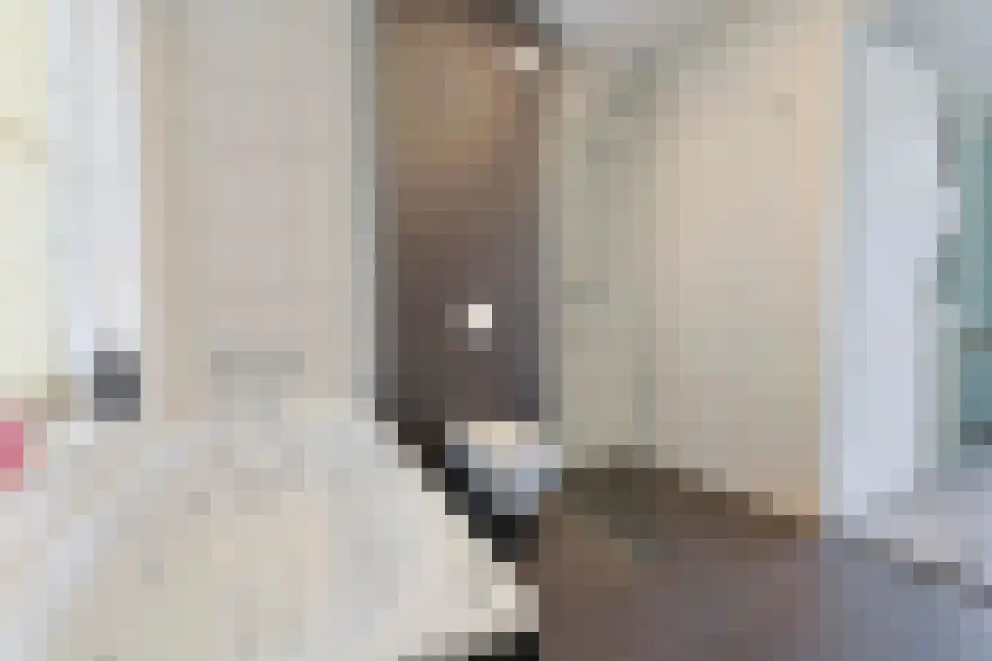 Baak van Tholen 3 Amersfoort thumbnail 25