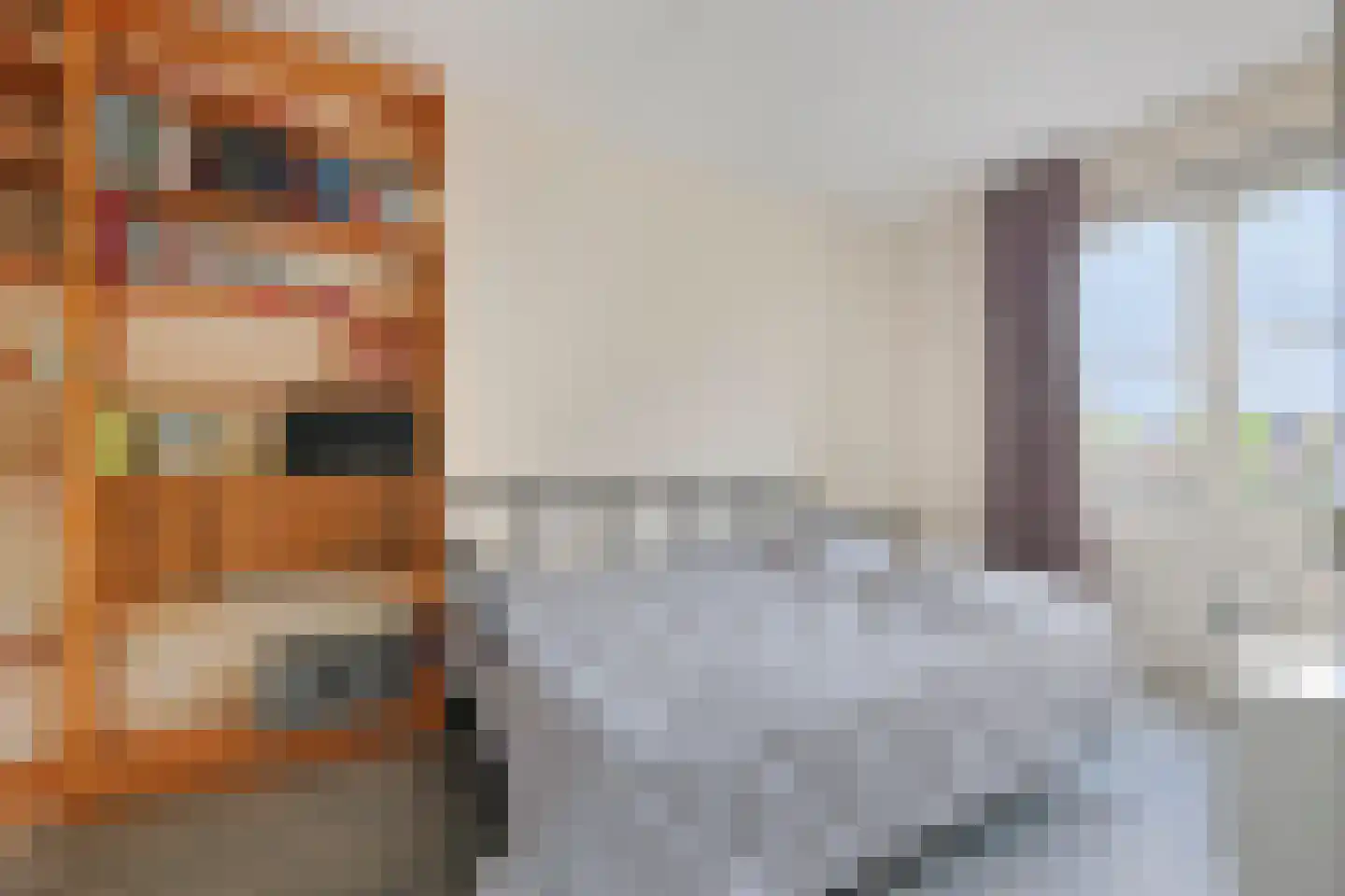 Baak van Tholen 3 Amersfoort thumbnail 27