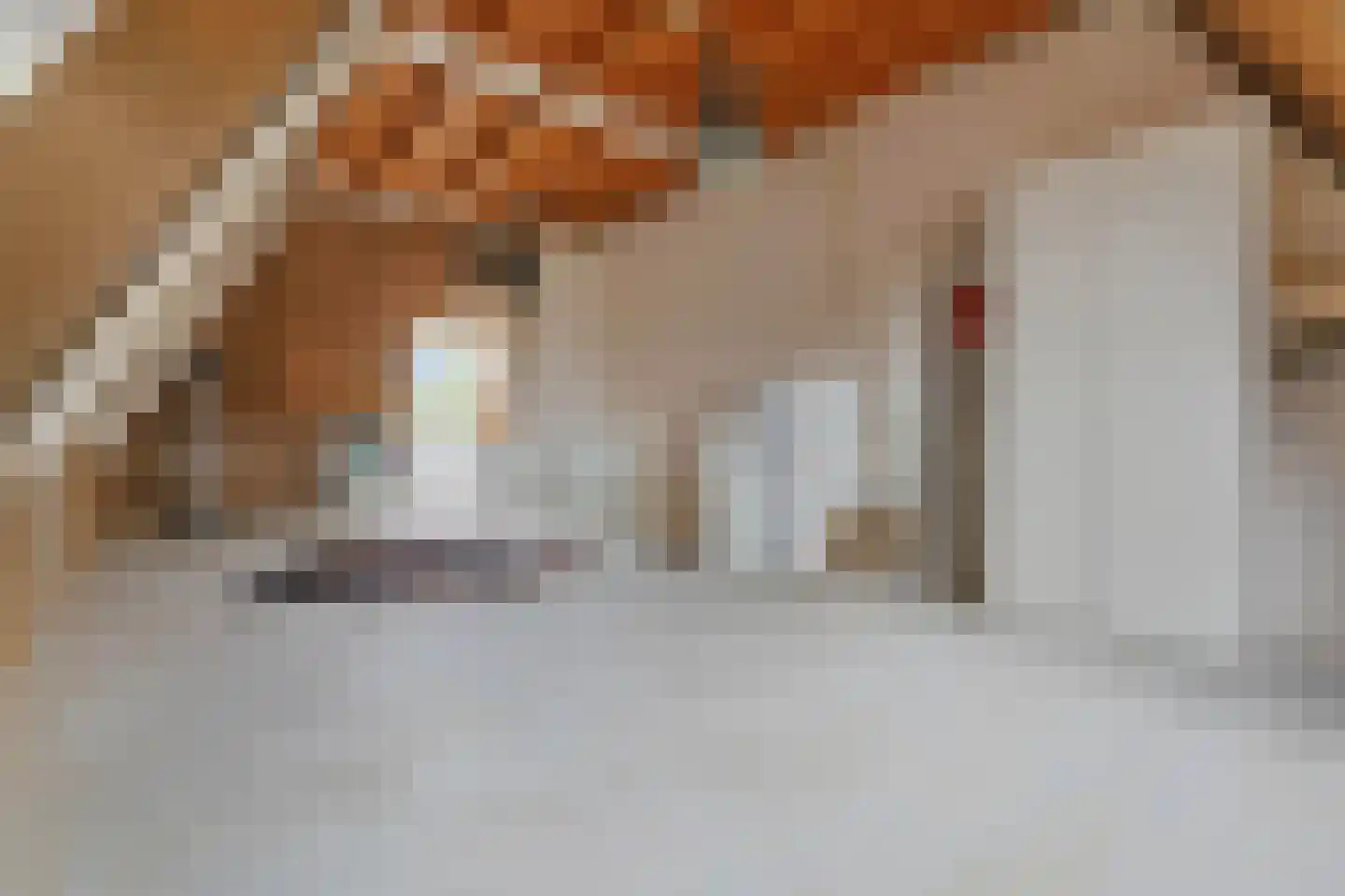 Baak van Tholen 3 Amersfoort thumbnail 31