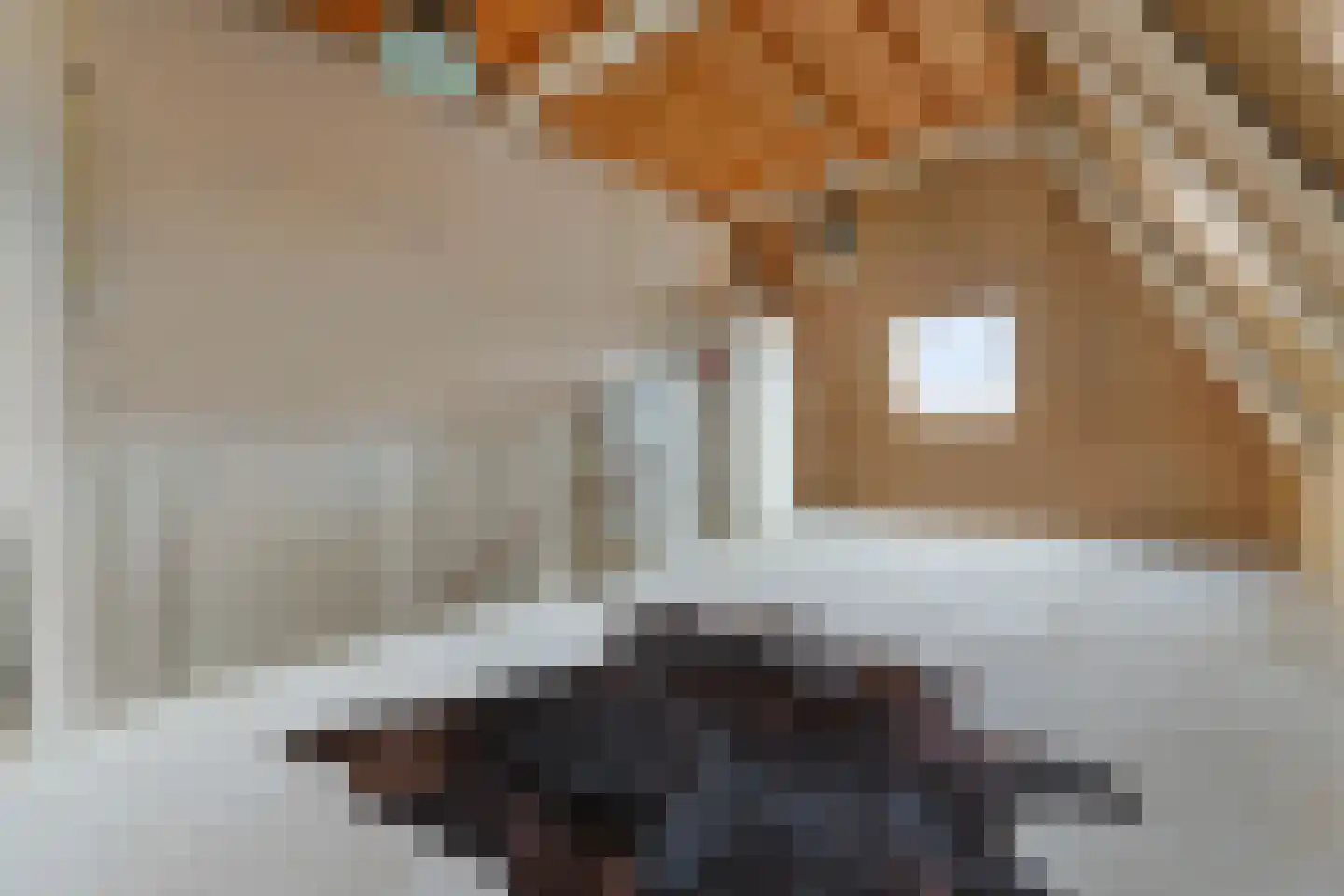 Baak van Tholen 3 Amersfoort thumbnail 32