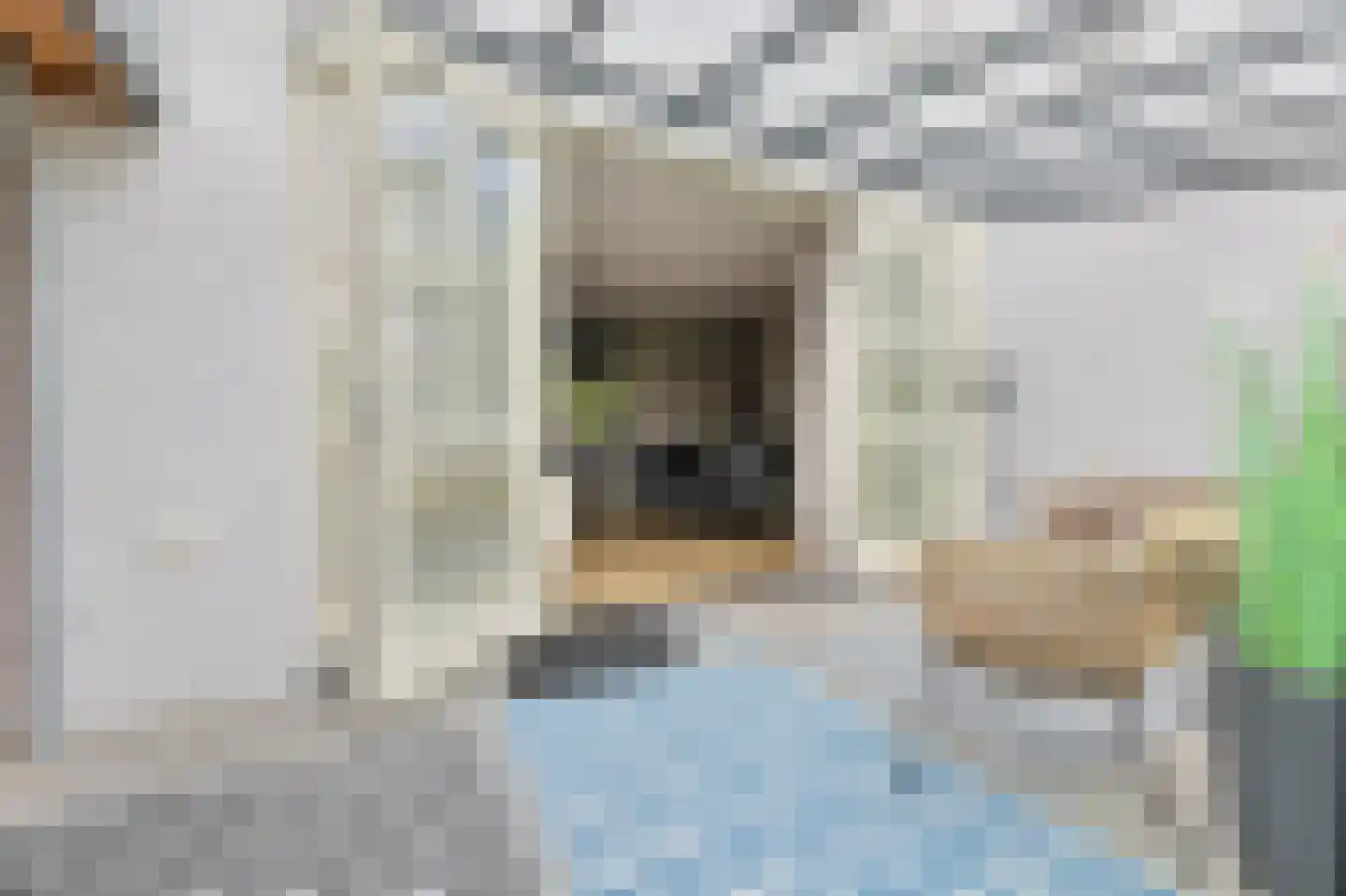 Baak van Tholen 3 Amersfoort thumbnail 33