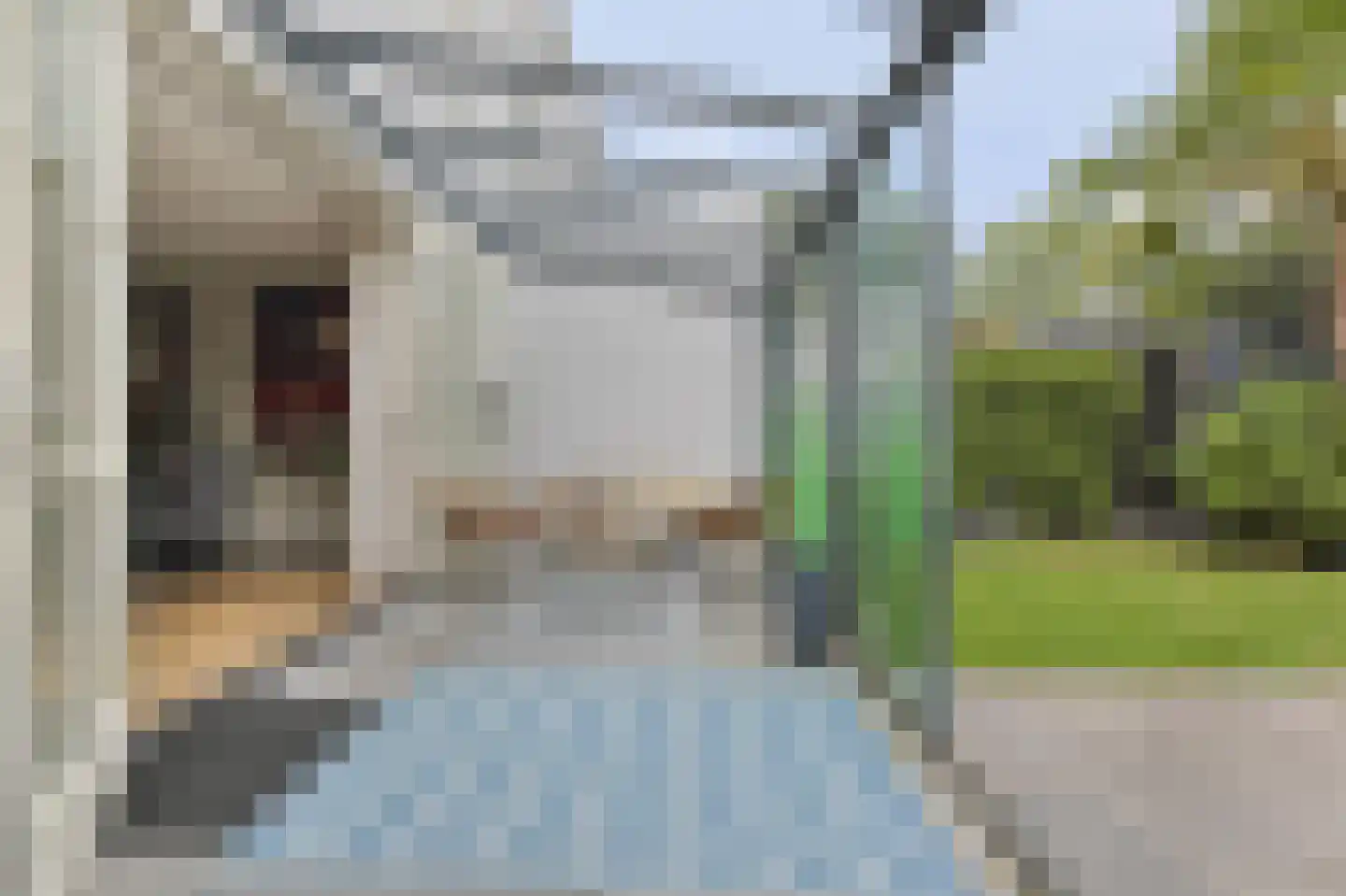 Baak van Tholen 3 Amersfoort thumbnail 34