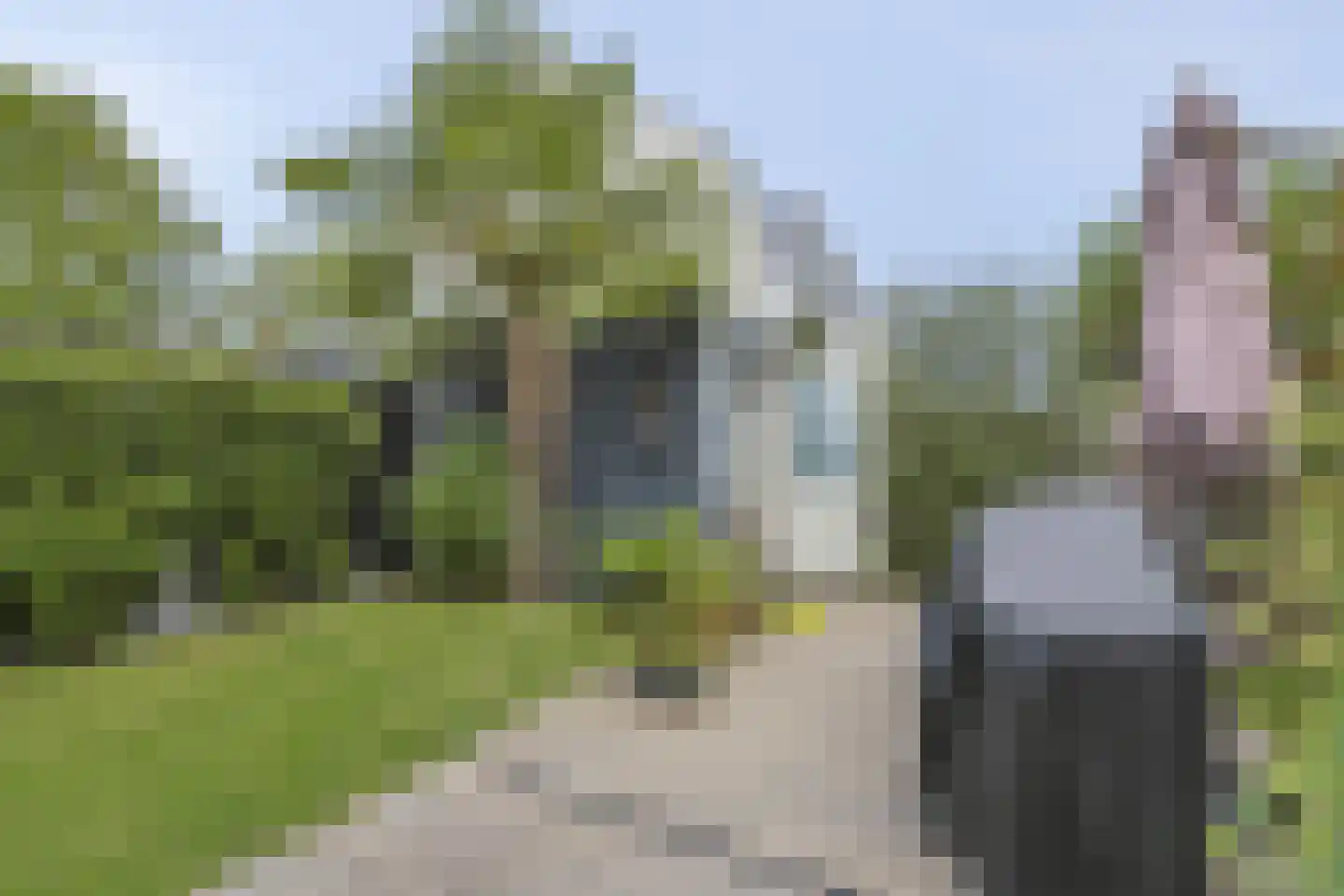 Baak van Tholen 3 Amersfoort thumbnail 35