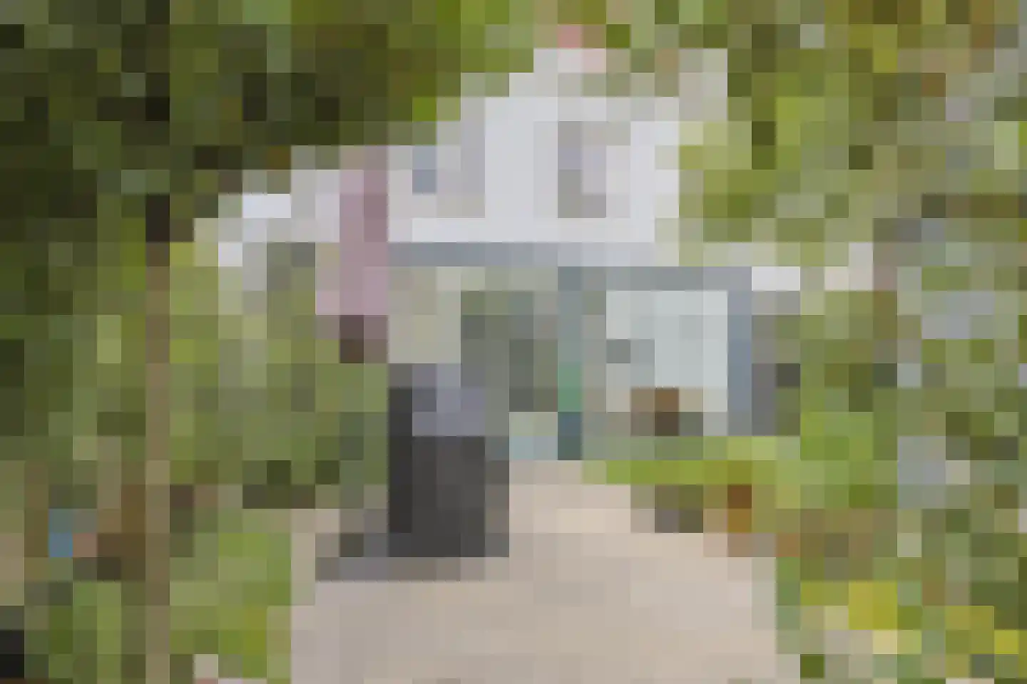 Baak van Tholen 3 Amersfoort thumbnail 36