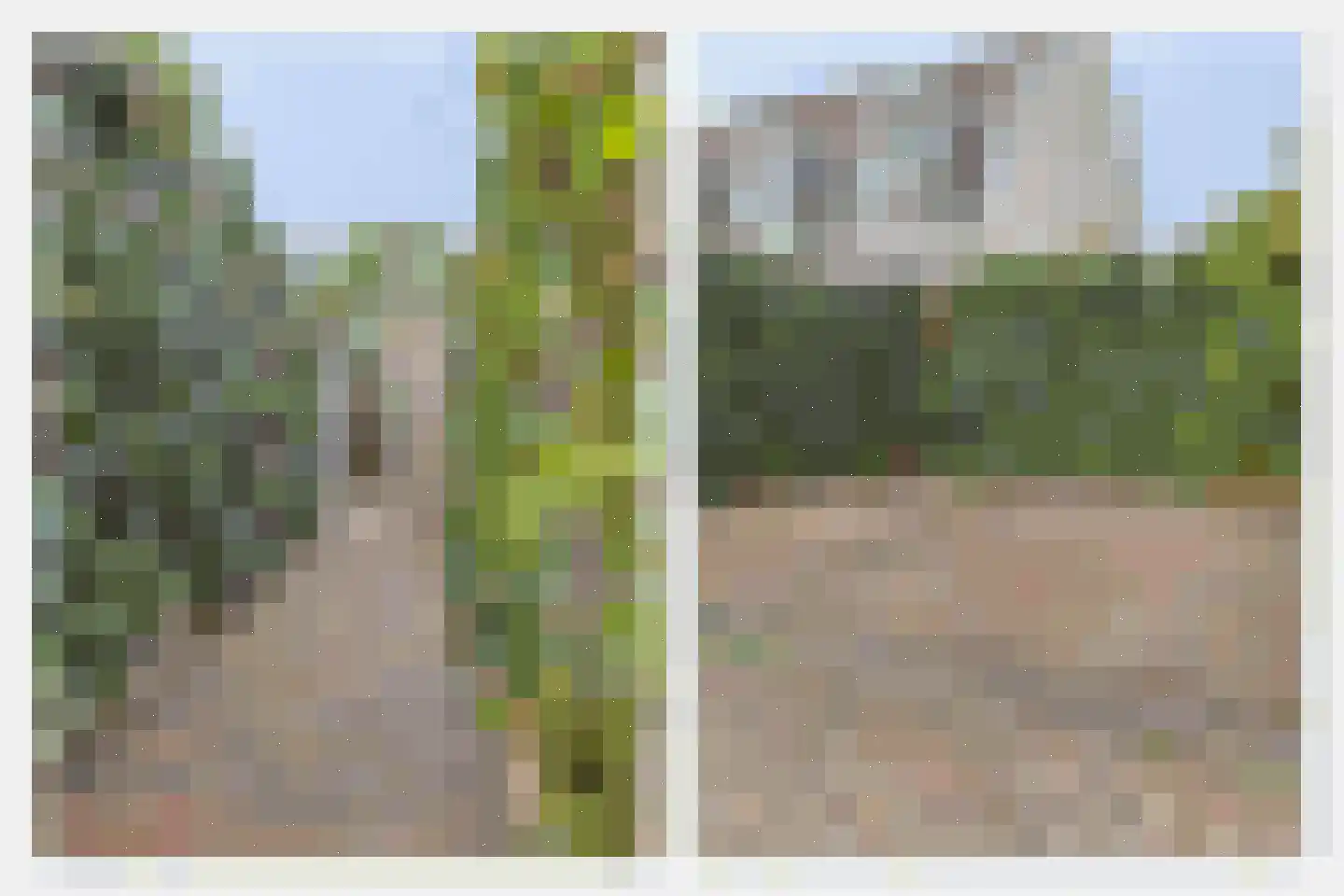 Baak van Tholen 3 Amersfoort thumbnail 38