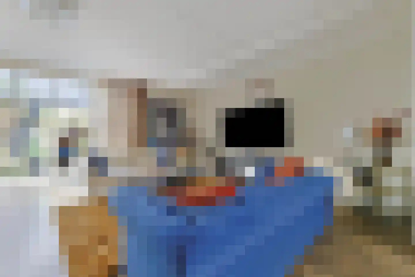Baak van Tholen 3 Amersfoort thumbnail 9