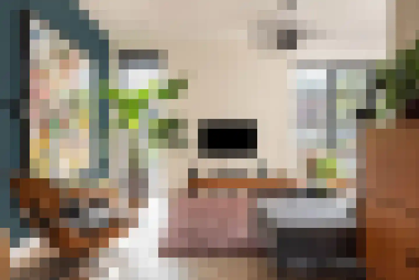 Baak van Tholen 5 Amersfoort thumbnail 11