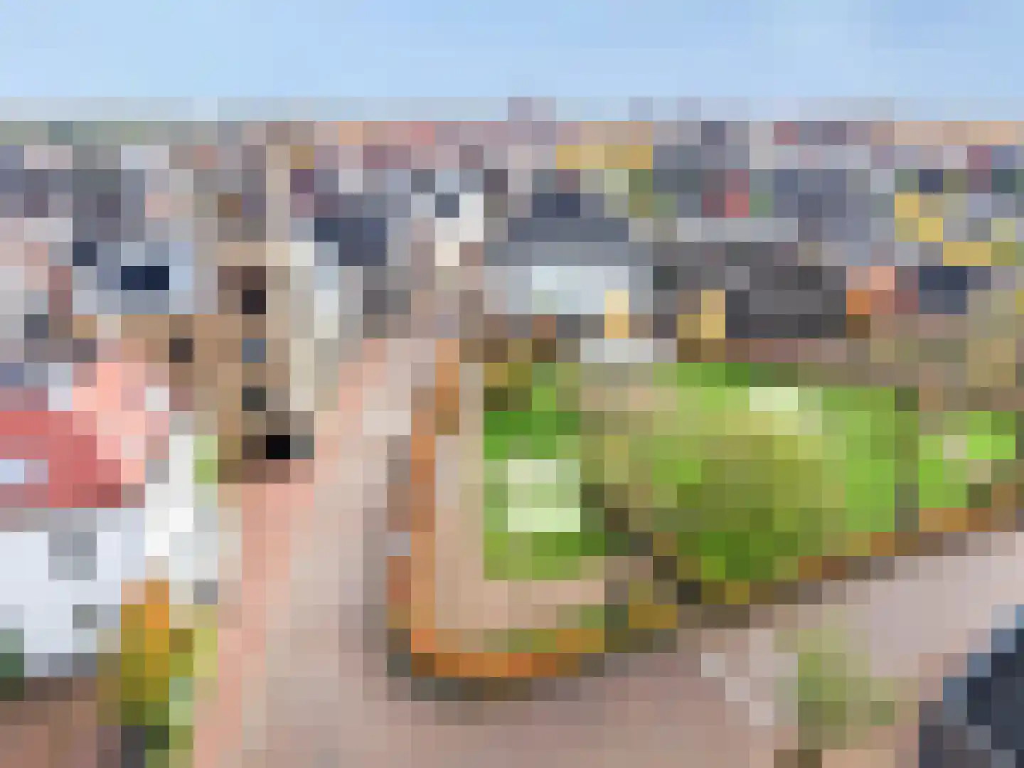 Baak van Tholen 5 Amersfoort thumbnail 18