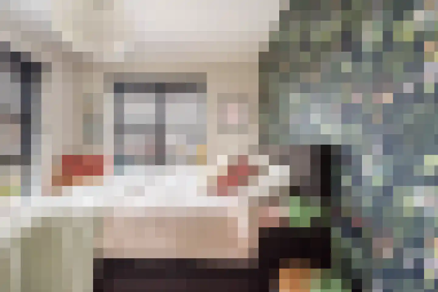 Baak van Tholen 5 Amersfoort thumbnail 24