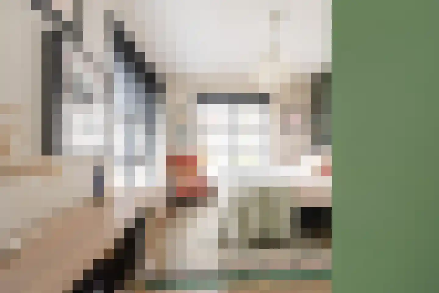 Baak van Tholen 5 Amersfoort thumbnail 27