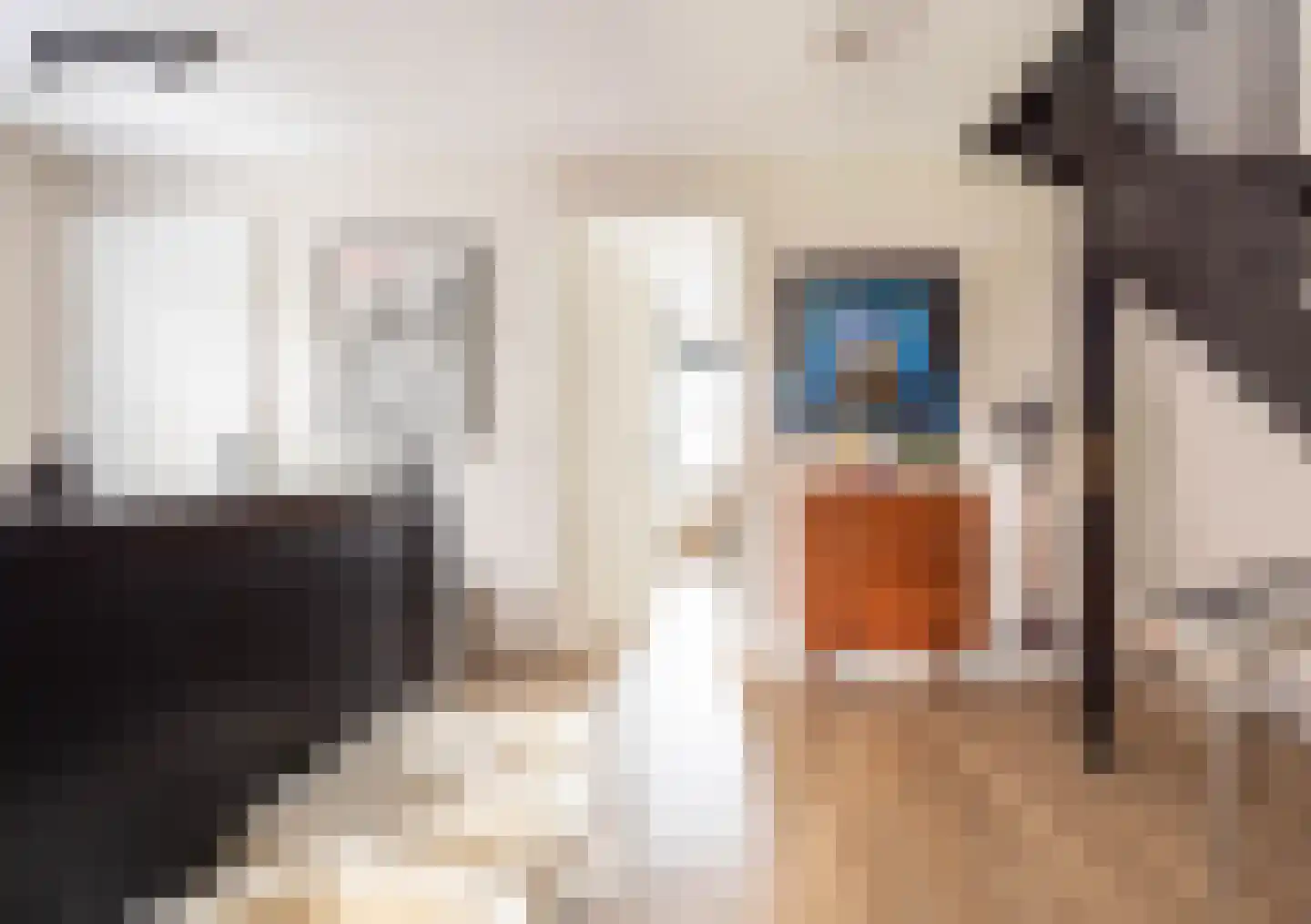 Baak van Tholen 5 Amersfoort thumbnail 28